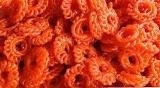 JANGRI || జాంగ్రి || 500 GR / 1.10 lb